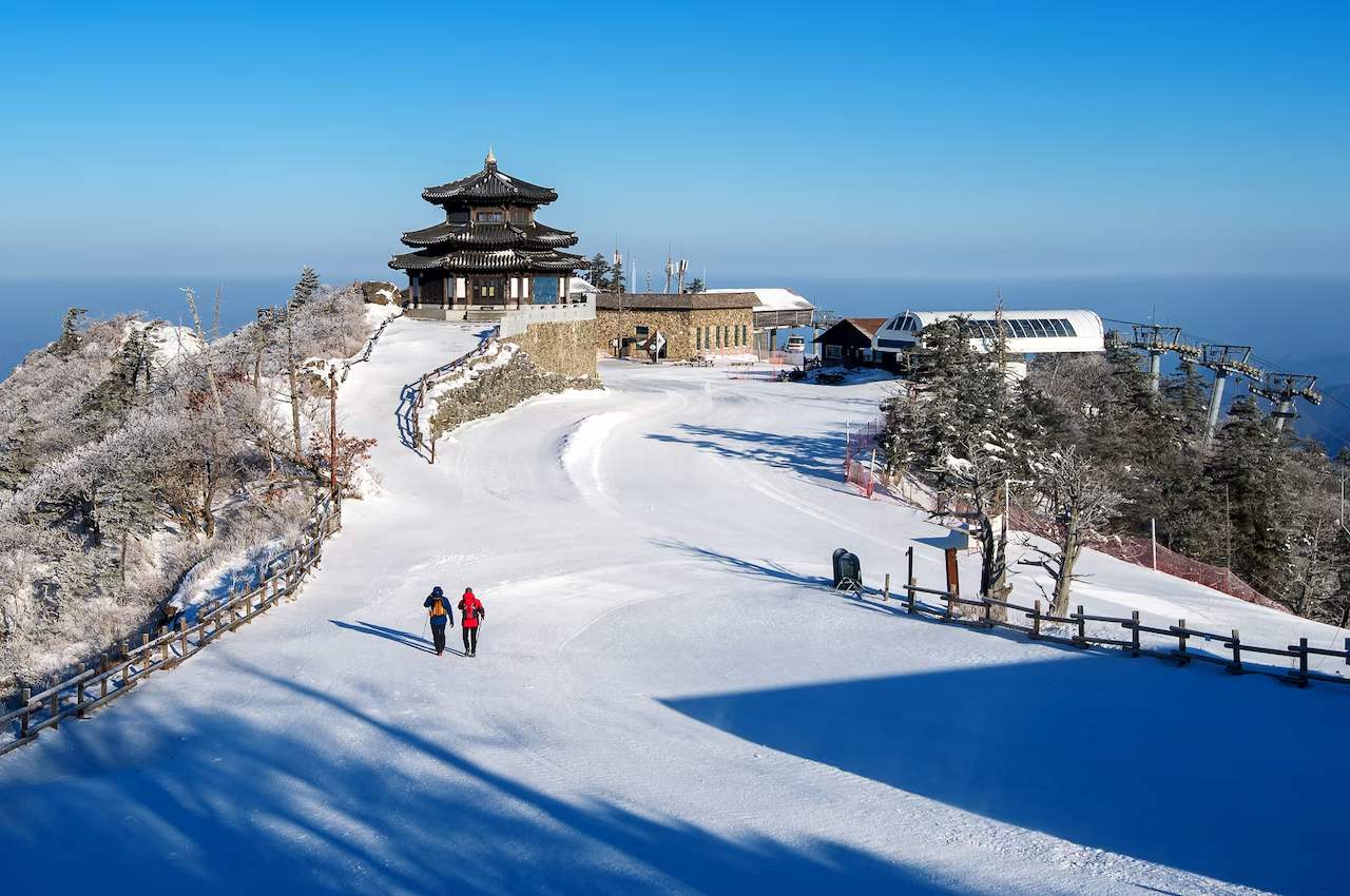 Himalayan Family Getaway to Gangtok & Darjeeling