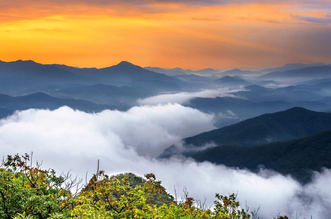 Himalayan Family Getaway to Gangtok & Darjeeling