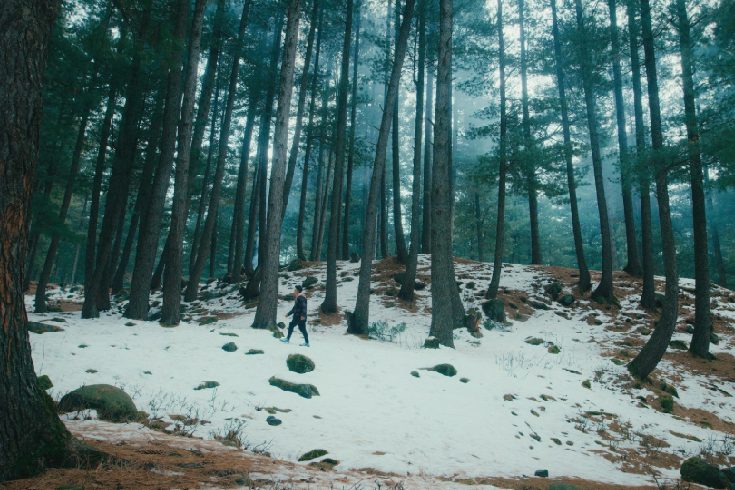 Snow activities in Sonmarg Kashmir tour