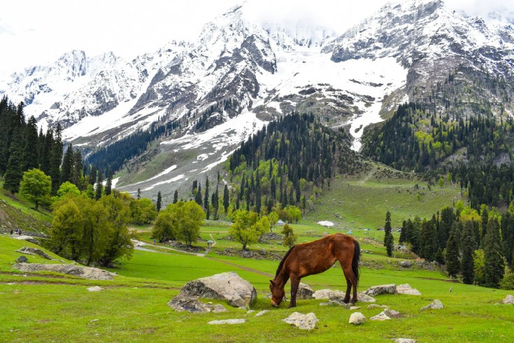Couple at Betaab Valley